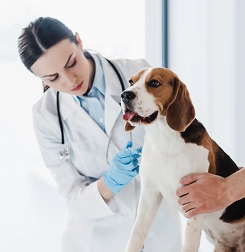 Erzin Veteriner